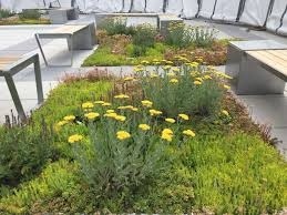 Sustainable Commercial Landscaping Tips