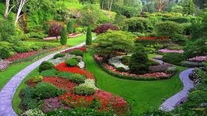 Therapeutic Landscape Design