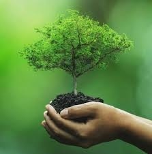 Top 10 Recycling Tips