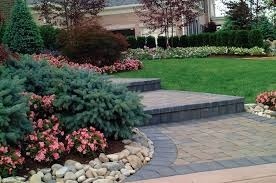Wellness-Oriented Landscaping