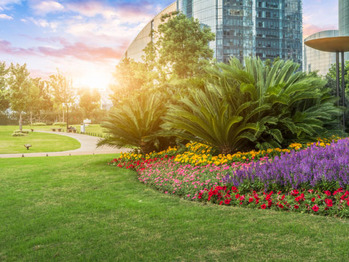 Commercial Landscaping