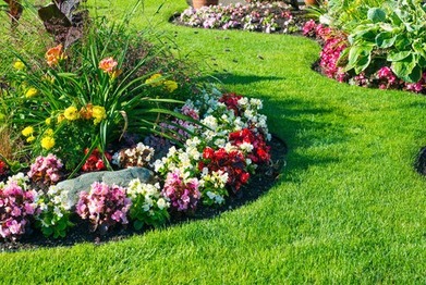 How Every Individual Can Make a Difference